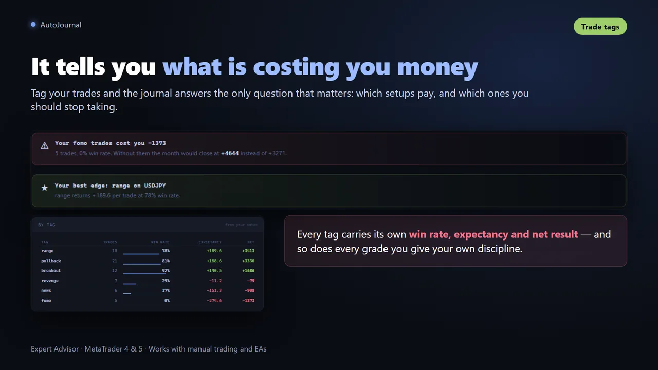 Plain-language conclusions about your trading