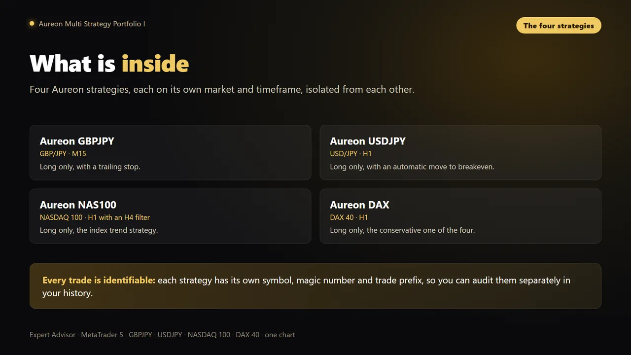 The four strategies of Aureon Multi Strategy Portfolio I